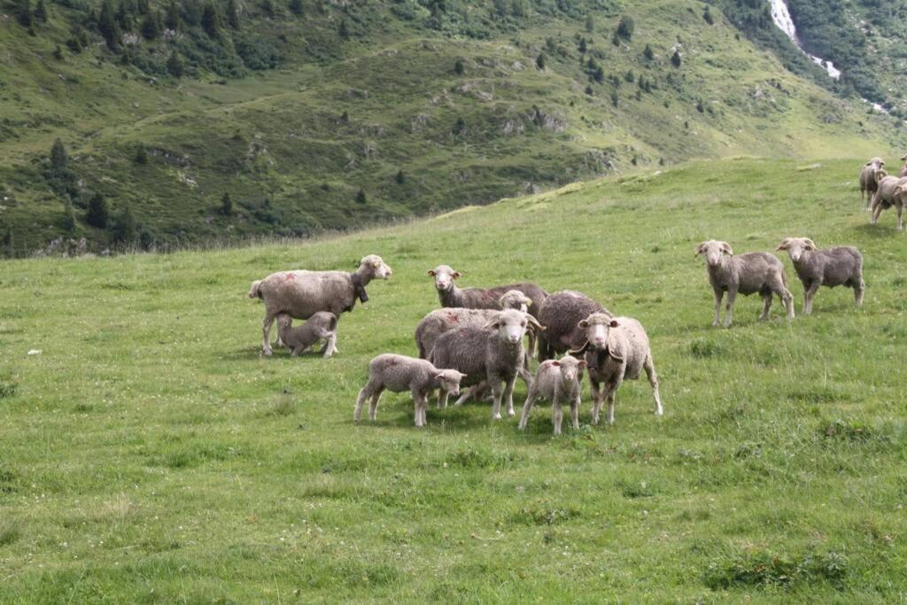 Le Des Sybelles Saint-Sorlin-d'Arves